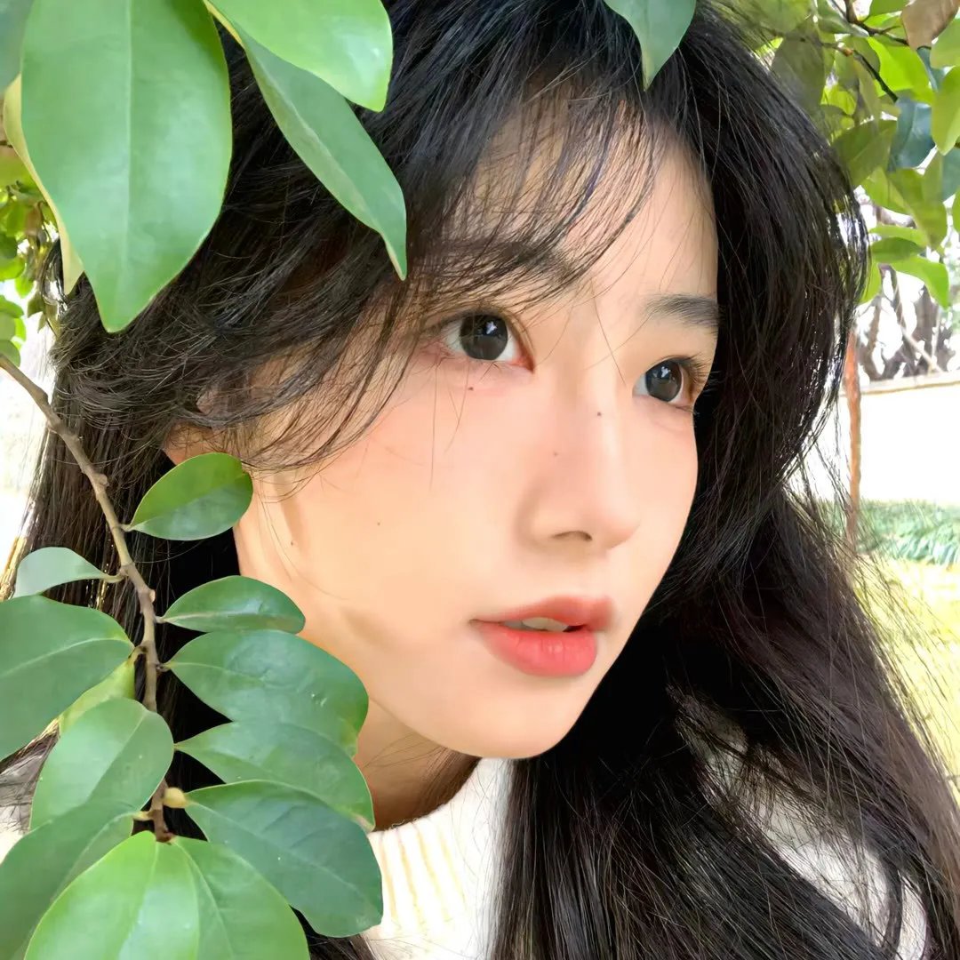 看她轻轻的飞起